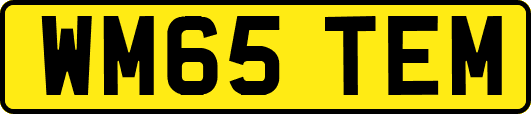 WM65TEM