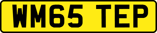 WM65TEP