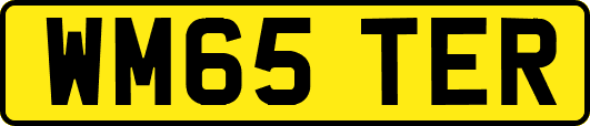WM65TER