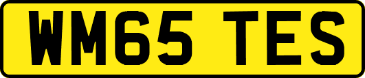 WM65TES