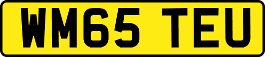 WM65TEU