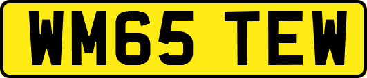 WM65TEW