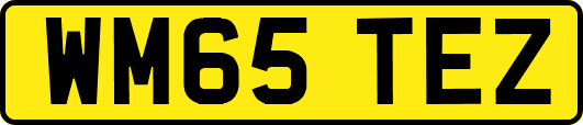 WM65TEZ