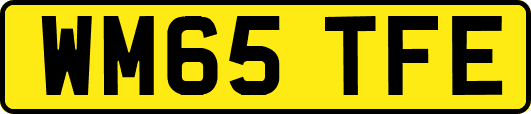 WM65TFE
