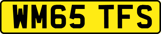 WM65TFS