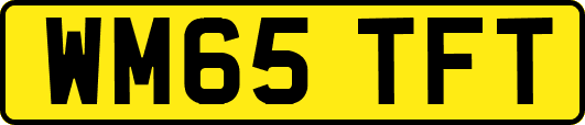 WM65TFT