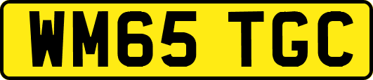 WM65TGC
