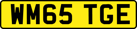 WM65TGE