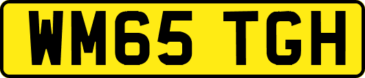 WM65TGH