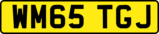 WM65TGJ