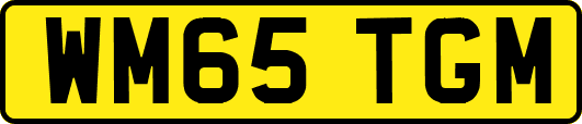 WM65TGM