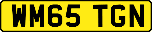 WM65TGN