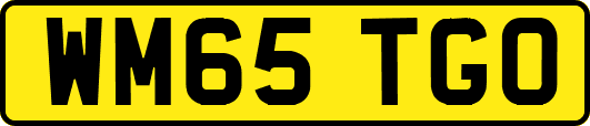 WM65TGO