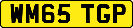 WM65TGP