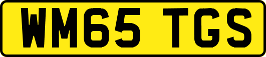 WM65TGS