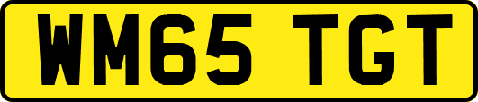 WM65TGT