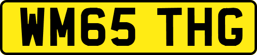 WM65THG