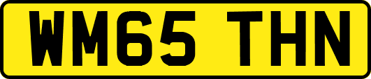 WM65THN