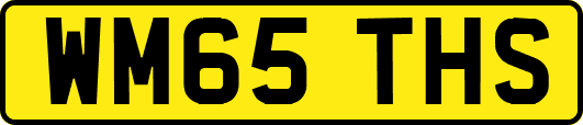 WM65THS