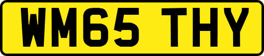 WM65THY