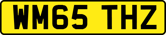 WM65THZ