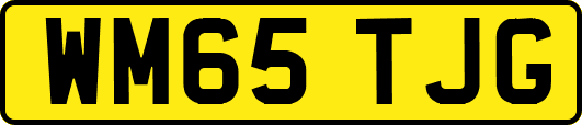 WM65TJG