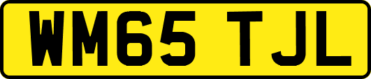 WM65TJL