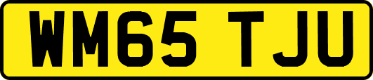 WM65TJU