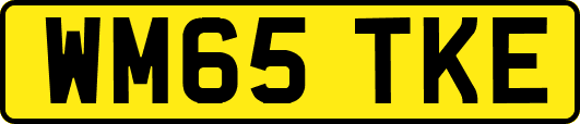 WM65TKE