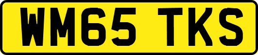 WM65TKS