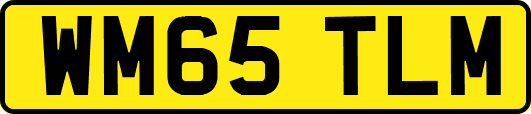 WM65TLM