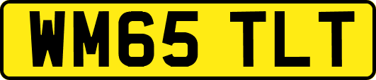 WM65TLT