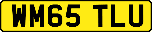 WM65TLU