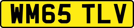 WM65TLV