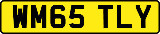 WM65TLY