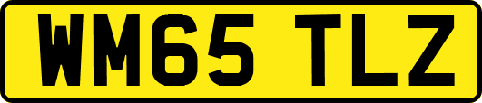 WM65TLZ
