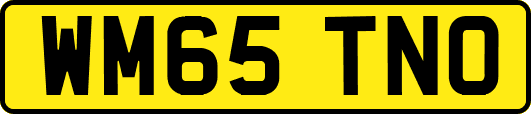 WM65TNO