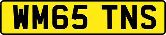 WM65TNS