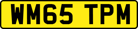 WM65TPM