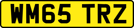WM65TRZ