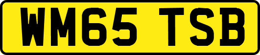 WM65TSB