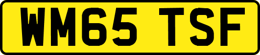 WM65TSF