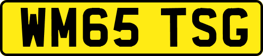 WM65TSG