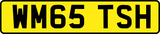 WM65TSH