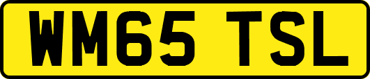WM65TSL
