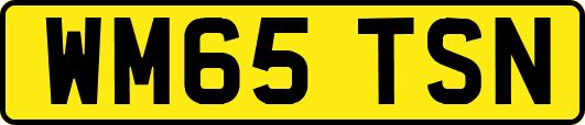 WM65TSN