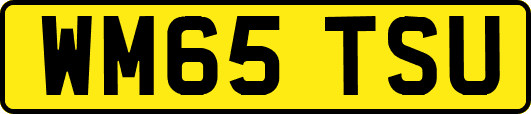 WM65TSU