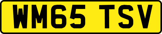 WM65TSV
