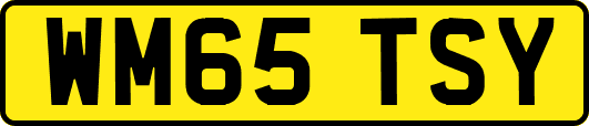 WM65TSY