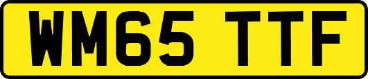 WM65TTF